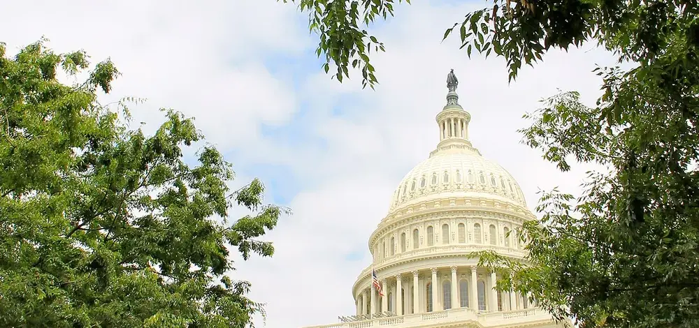 The  — Flickr - USCapitol - U.S. Capitol in May (1)