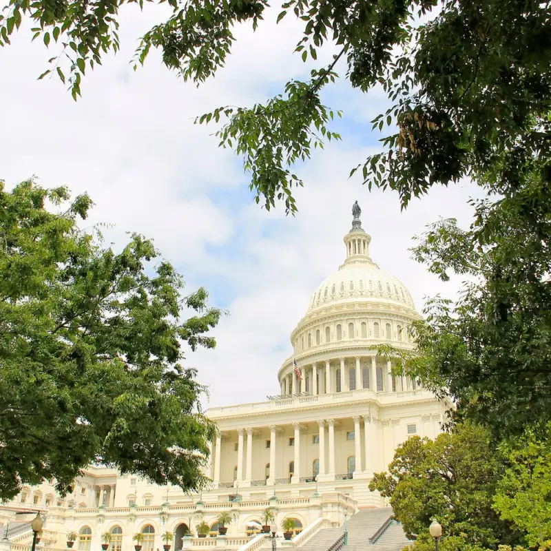 The  — Flickr - USCapitol - U.S. Capitol in May (1)