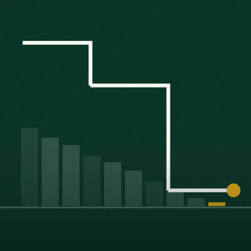 PayoffPath, Debt Settlement
