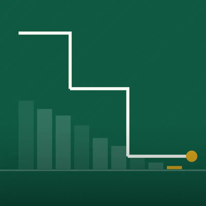 PayoffPath, Debt by Situation