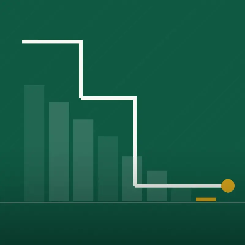 PayoffPath, Debt by Situation