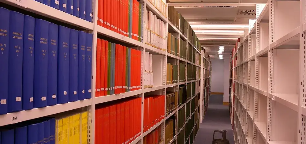 What Bankruptcy Clears — and the 8 Debts It Never Does — LibraryBooksandEmptyshelves