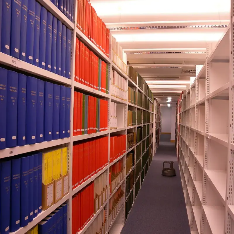 What Bankruptcy Clears — and the 8 Debts It Never Does — LibraryBooksandEmptyshelves